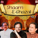 Shaam E Ghazal Vol 1 - Jaswant Singh Song Download